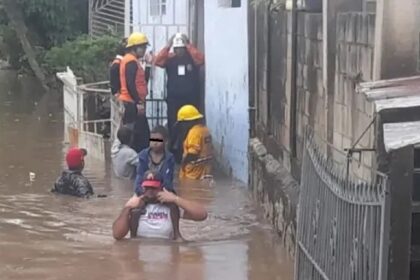 afectadas