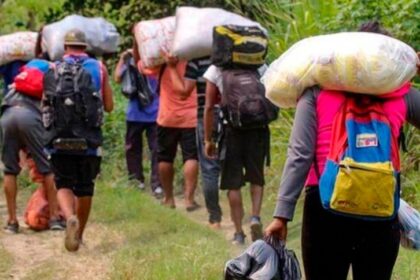 SIN TREGUA: 64% de los migrantes que han cruzado el Darién en 2024 son venezolanos