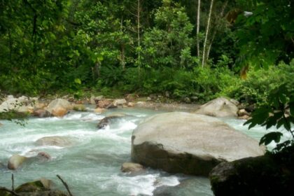 Joven murió tras lanzarse de clavado desde lo alto de unas rocas en el pozo de un balneario